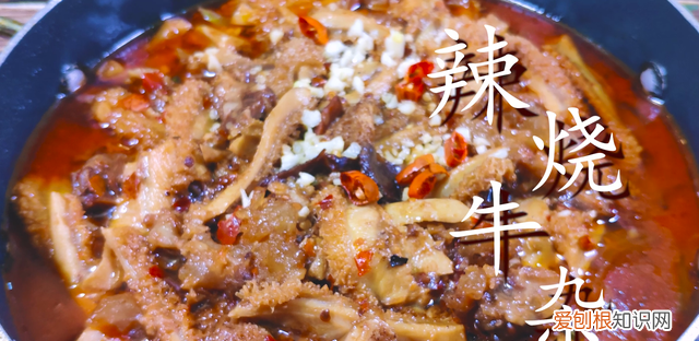 广式牛杂的做法和配料教程 牛杂怎么做才能香味扑鼻