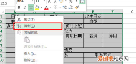 怎么把表格放到word里