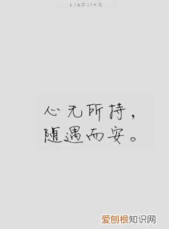 随遇而安是什么意思呢，随波逐流随遇而安是什么意思呢