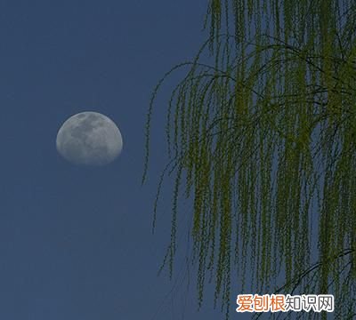 月上柳梢头 人约黄昏后是什么节什么意思