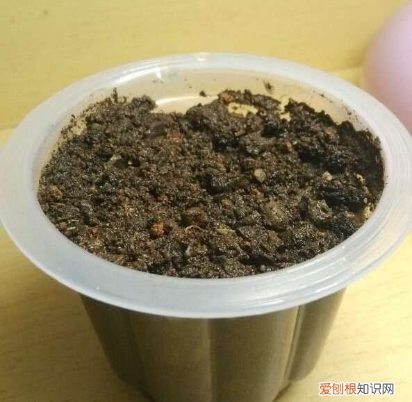 木瓜怎么种植盆栽,种木瓜需要多大的盆