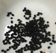 木瓜怎么种植盆栽，种木瓜需要多大的盆