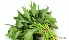 空心菜是很高粗纤维的蔬菜吗 空心菜是很多人都喜欢吃的蔬菜