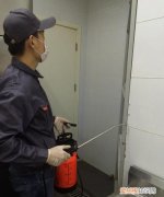 84消毒液能灭蟑螂吗，84消毒液能灭杀蟑螂卵