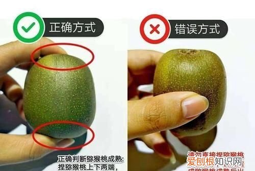 怎样使猕猴桃快速变软