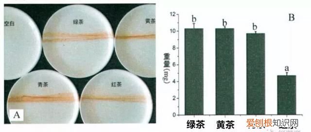 茶垢为什么有重金属 茶垢导致重金属中毒