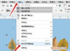 cdr中如何截图成几块，cdr应该如何才可以截图