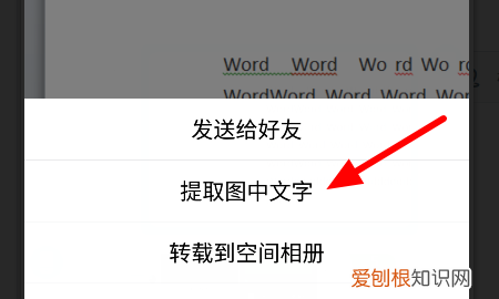 怎么把照片编辑成文档，怎么把照片做成电子档明信片加文字呢