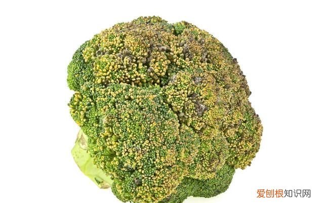 吃发黄的西兰花会影响健康吗,西兰花放了一周变黄了可以吃吗