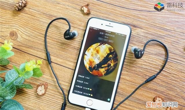 音乐软件无损音乐哪个音效最好,听无损音质app哪个好