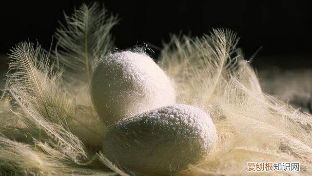 古代纺织业和丝织业的区别