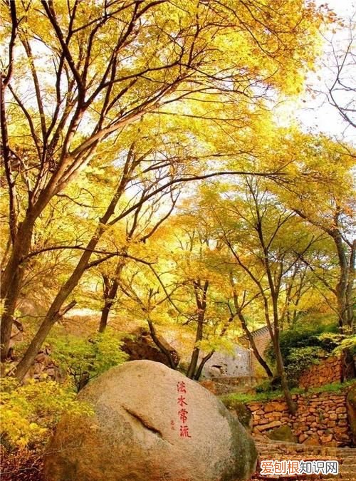 千山的寓意，鸿运千秋山水画寓意