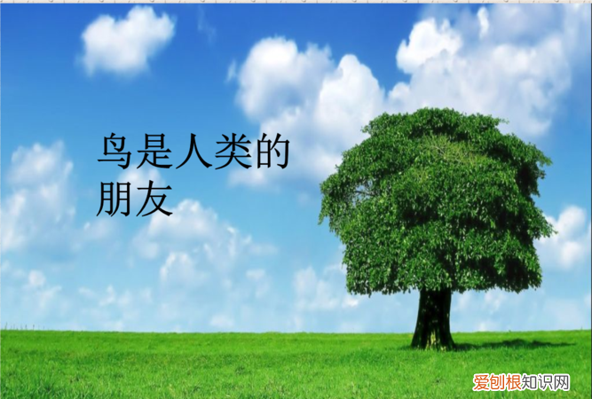鸟对人类有哪些好处三年级,啄木鸟对我们的生活有什么好处