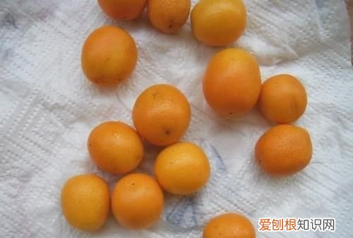 金桔膏的熬制作方法视频，食补佳品金桔冰糖膏的做法