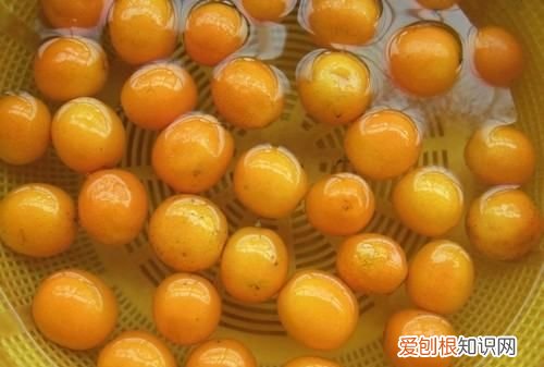 金桔膏的熬制作方法视频，食补佳品金桔冰糖膏的做法