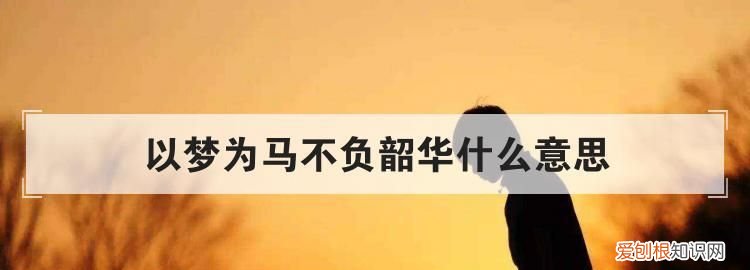 不负韶华是什么意思,韶华是什么意思怎么理解