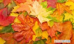 秋天是几月份开始和结束