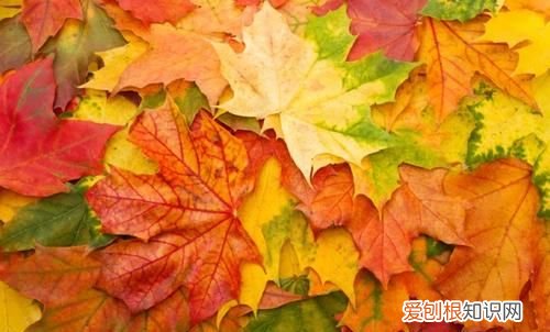 秋天是几月份开始和结束