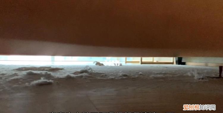 家具的毛絮怎么清理,床底下全是毛絮怎么清理