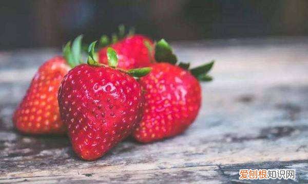 草莓生虫子用什么药，草莓长虫子怎么办小妙招