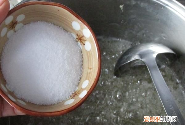 糖醋蒜怎么腌才能又白又脆 糖醋蒜怎么腌制好吃又脆