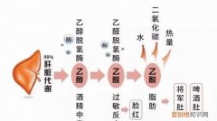 吃什么可以分解乙醛，丙酮酸怎么分解成乙醛和二氧化碳反应
