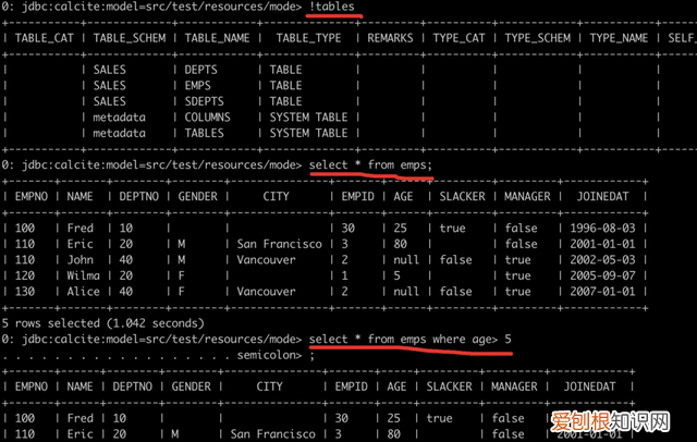 利用json快速建mysql数据表