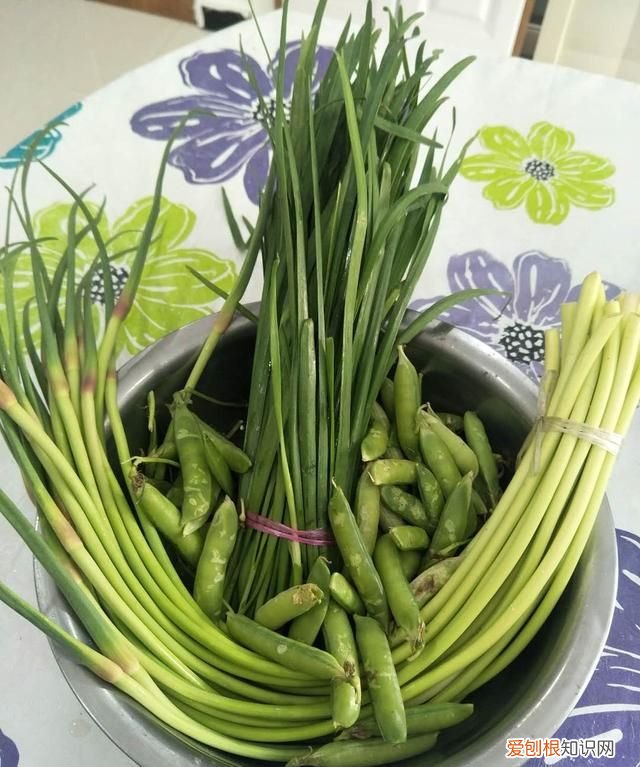 夏季食材有哪些，春夏秋冬时令菜有哪些