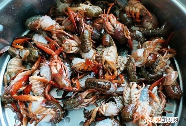 小龙虾去头后怎么保存,烧烤店小龙虾怎么保存