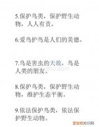 鸟类的宣传标语怎么写