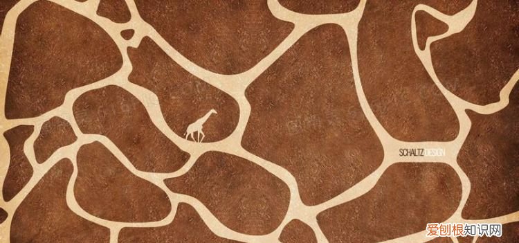 长颈鹿的脚印什么形状