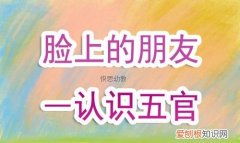 五官指什么部位，五官分别指什么为什么