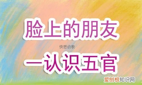 五官指什么部位，五官分别指什么为什么
