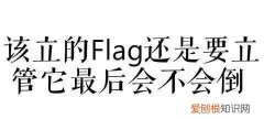 flag是什么意思中文翻译