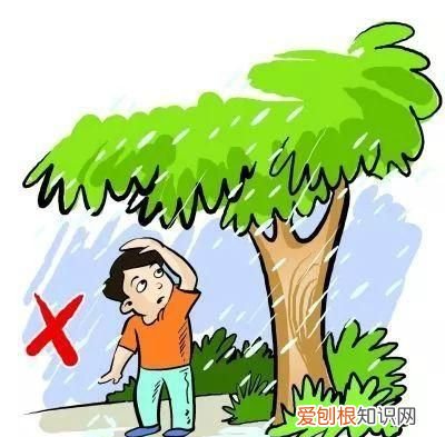 暴雨时在野外怎么办