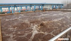 污水处理后颜色发黄怎么解决