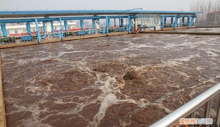 污水处理后颜色发黄怎么解决