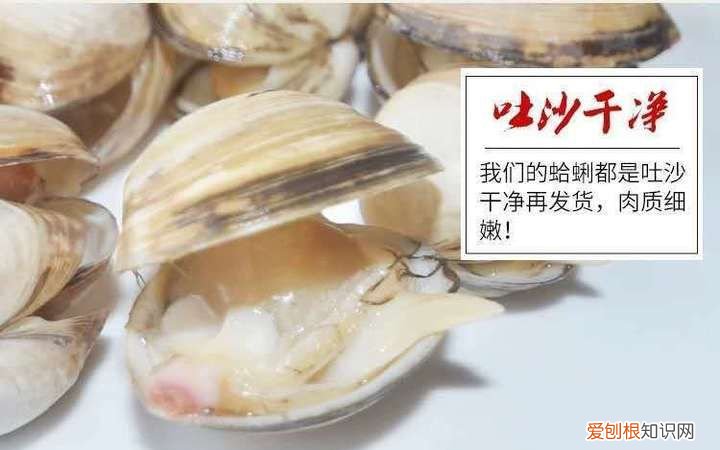 白哈喇怎么做好吃,花蛤炖鲤鱼怎么做好吃