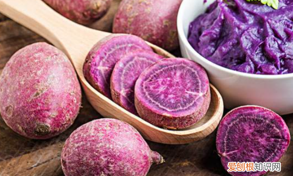 紫薯蒸多久能熟透