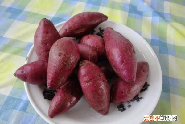 紫薯蒸多久能熟透