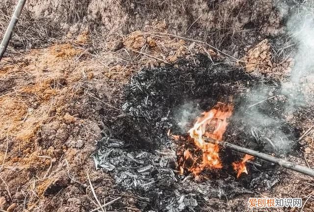 洪七公秘制叫花鸡看着流口水 洪七公最爱的叫花鸡怎么做的