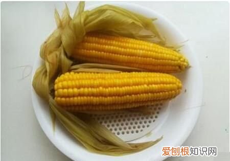 玉米高压锅煮多久，高压锅煮粘玉米多久熟