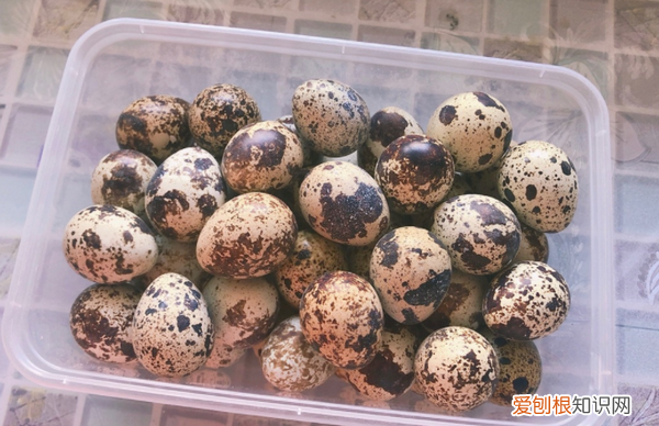 炸鹌鹑蛋的做法，油炸鹌鹑蛋的最佳做法