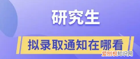 在研招网怎么查拟录取，研究生拟录取怎么查询