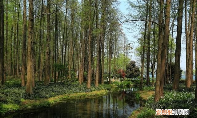 杭州新西湖十景有哪些