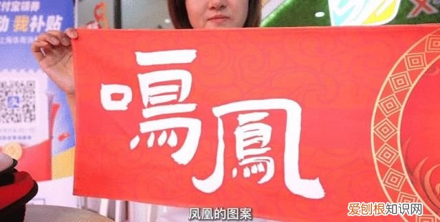 翻包大揭秘｜奥运冠军钟天使的健身装备有哪些？一键get同款！