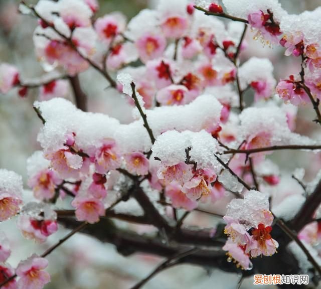 部编版四年级上册语文生字表组词 部编版四年级上语文生字组词