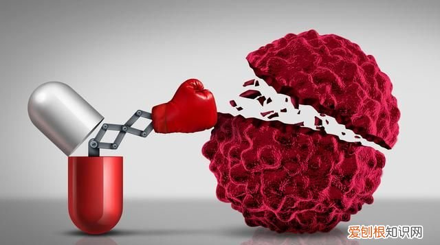 部编版四年级上册语文生字表组词 部编版四年级上语文生字组词