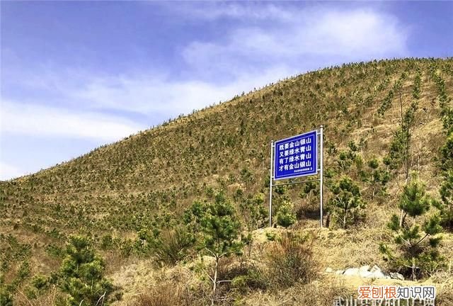 植树节是为了纪念谁的