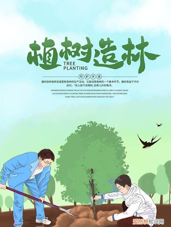 植树节是为了纪念谁的